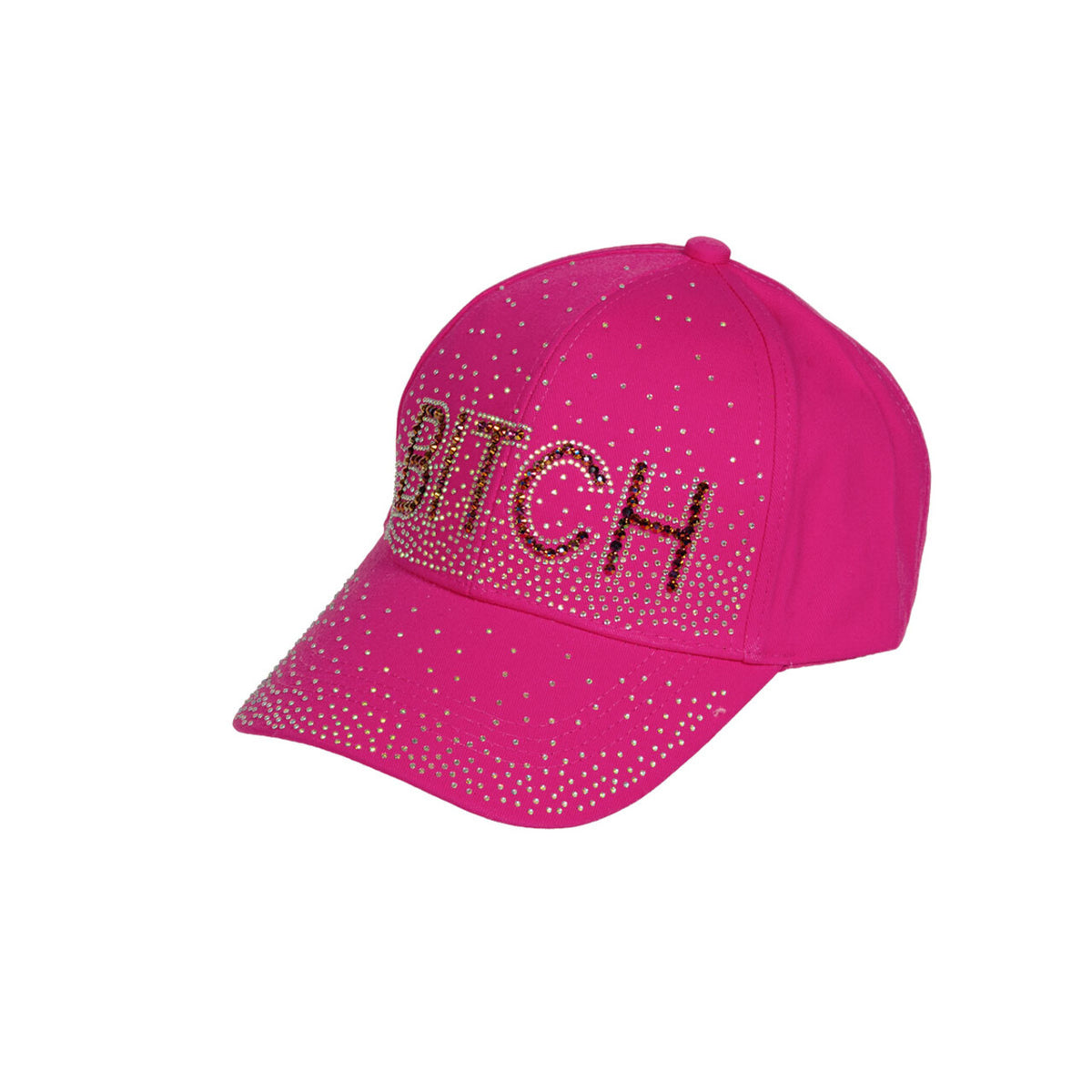 Op deze afbeelding zie je een Accessoires, van het merk Wilbers. Pet Bitch