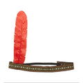 Hoofdband Indiaan Met Veer