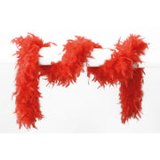 Op deze afbeelding zie je een Accessoires, van het merk Wilbers. Lange Boa Met Veren Rood 180 Centimeter