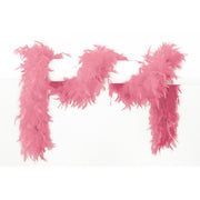 Op deze afbeelding zie je een Accessoires, van het merk Wilbers. Lange Boa Met Veren Roze 180 Centimeter