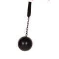 Gevangenis Bal Met Ketting