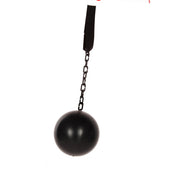 Op deze afbeelding zie je een Accessoires, van het merk Wilbers. Gevangenis Bal Met Ketting