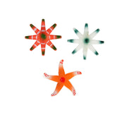 Op deze afbeelding zie je een Accessoires, van het merk Wilbers. Star Of The Sea Haarspeldjes 3 Stuks