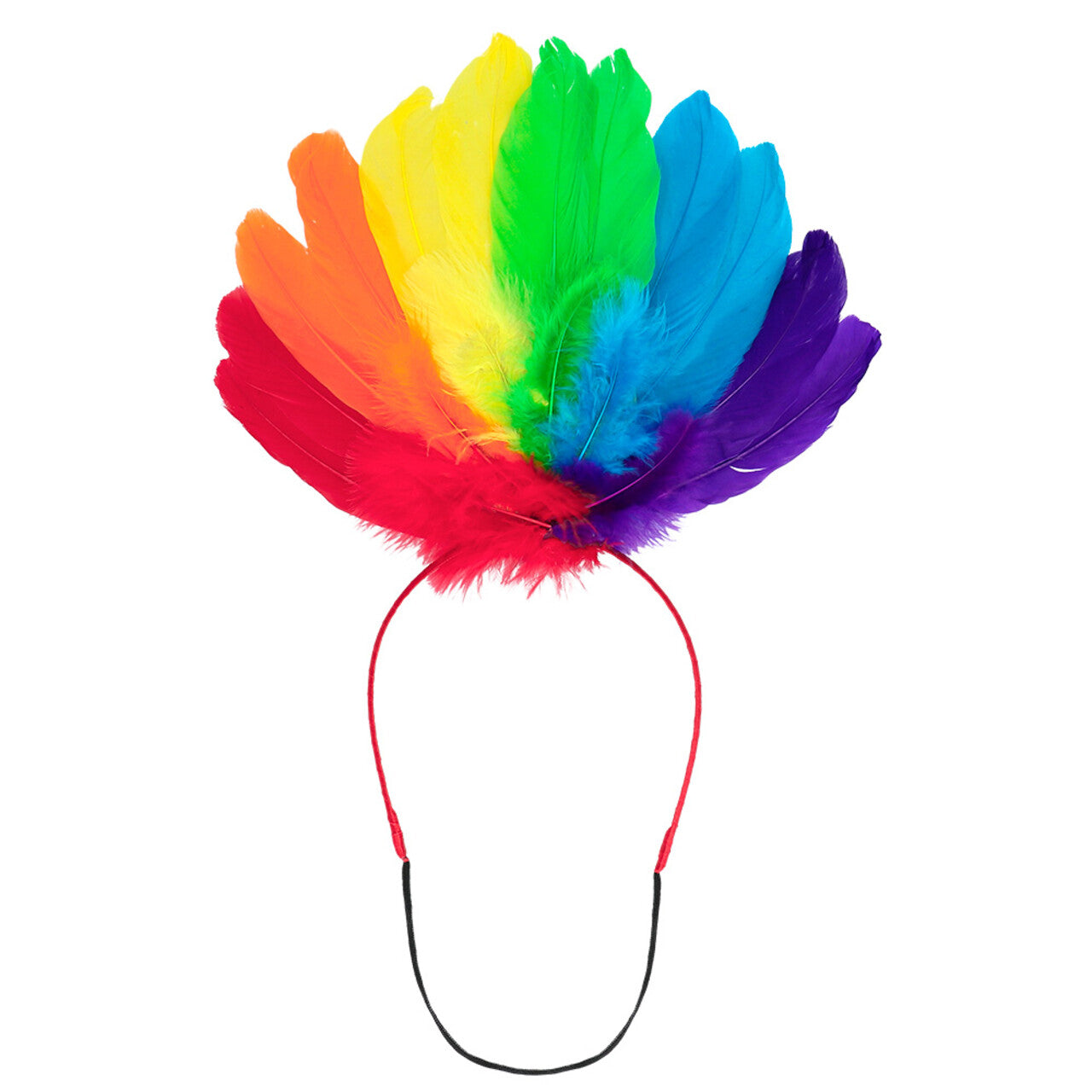 Op deze afbeelding zie je een Accessoires, van het merk Boland. Pride Festival Diadeem