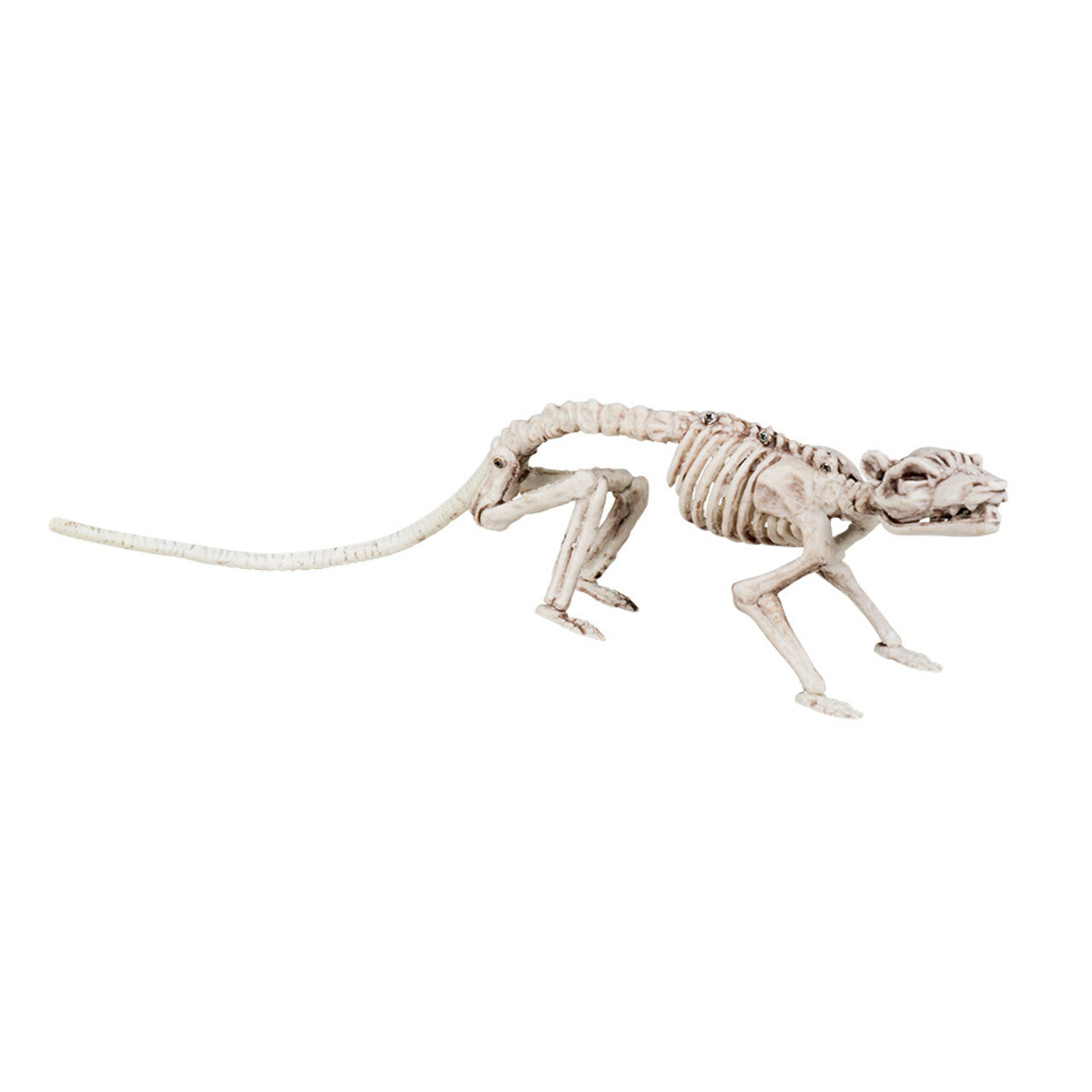 Op deze afbeelding zie je een Decoratie, van het merk Boland. Decoratie Jagende Skelet Rat