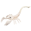 Decoratie Skelet Schorpioen Fossiel