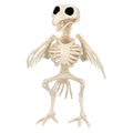 Decoratie Skelet Skinny Bird