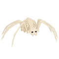 Eng Spin Skelet