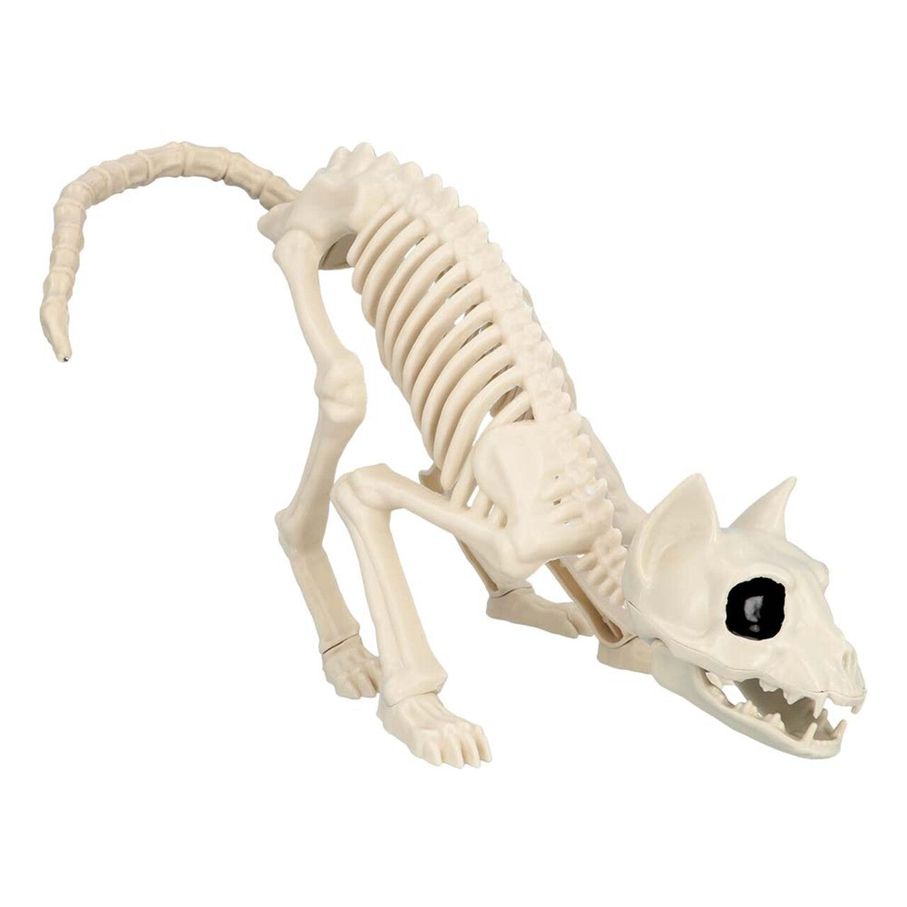 Op deze afbeelding zie je een Decoratie, van het merk Boland. Decoratie Skelet Kat Mimi