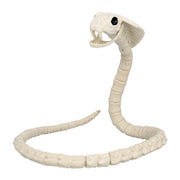 Op deze afbeelding zie je een Decoratie, van het merk Boland. Decoratie Skelet Cobra Fangs