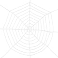 Enorm Groot Spinnenweb