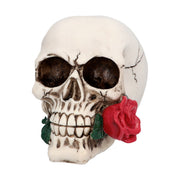 Op deze afbeelding zie je een Decoratie, van het merk Boland. Schedel Eeuwige Romanticus Casanova