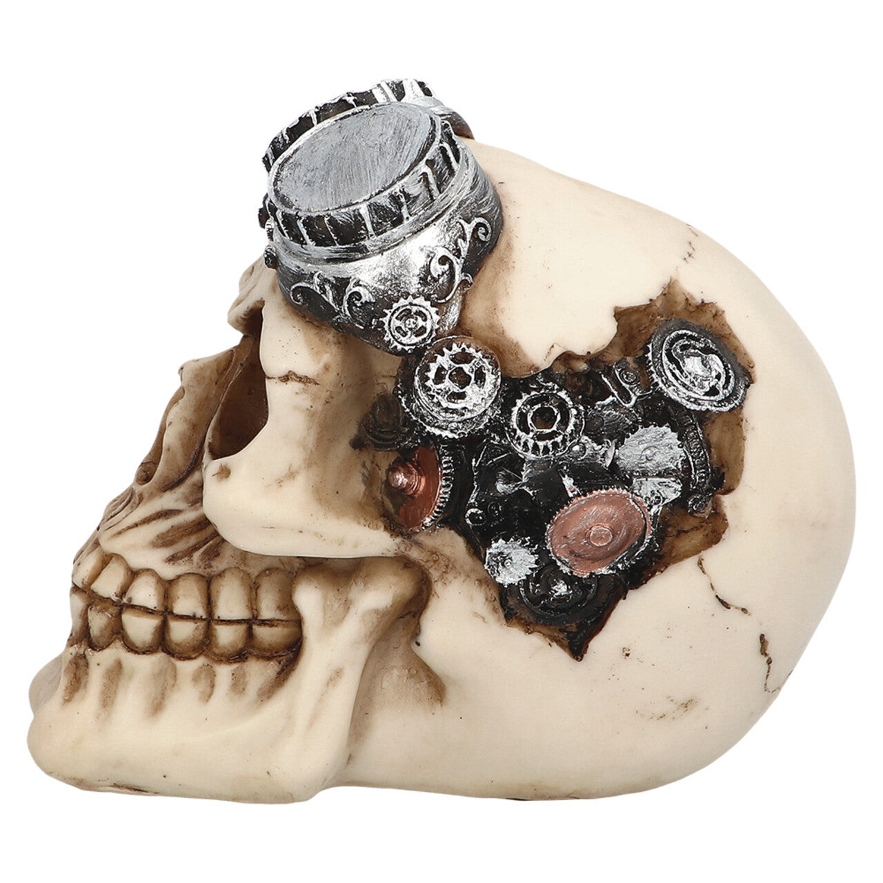 Op deze afbeelding zie je een Decoratie, van het merk Boland. Steampunk Tijdreiziger Skull Decoratie