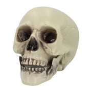 Op deze afbeelding zie je een Decoratie, van het merk Boland. Decoratie Schedel Whisperbone
