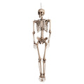 Hangdecoratie Te Lang Wachtende Skelet
