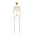 Hangdecoratie Skelet Skinny Wit