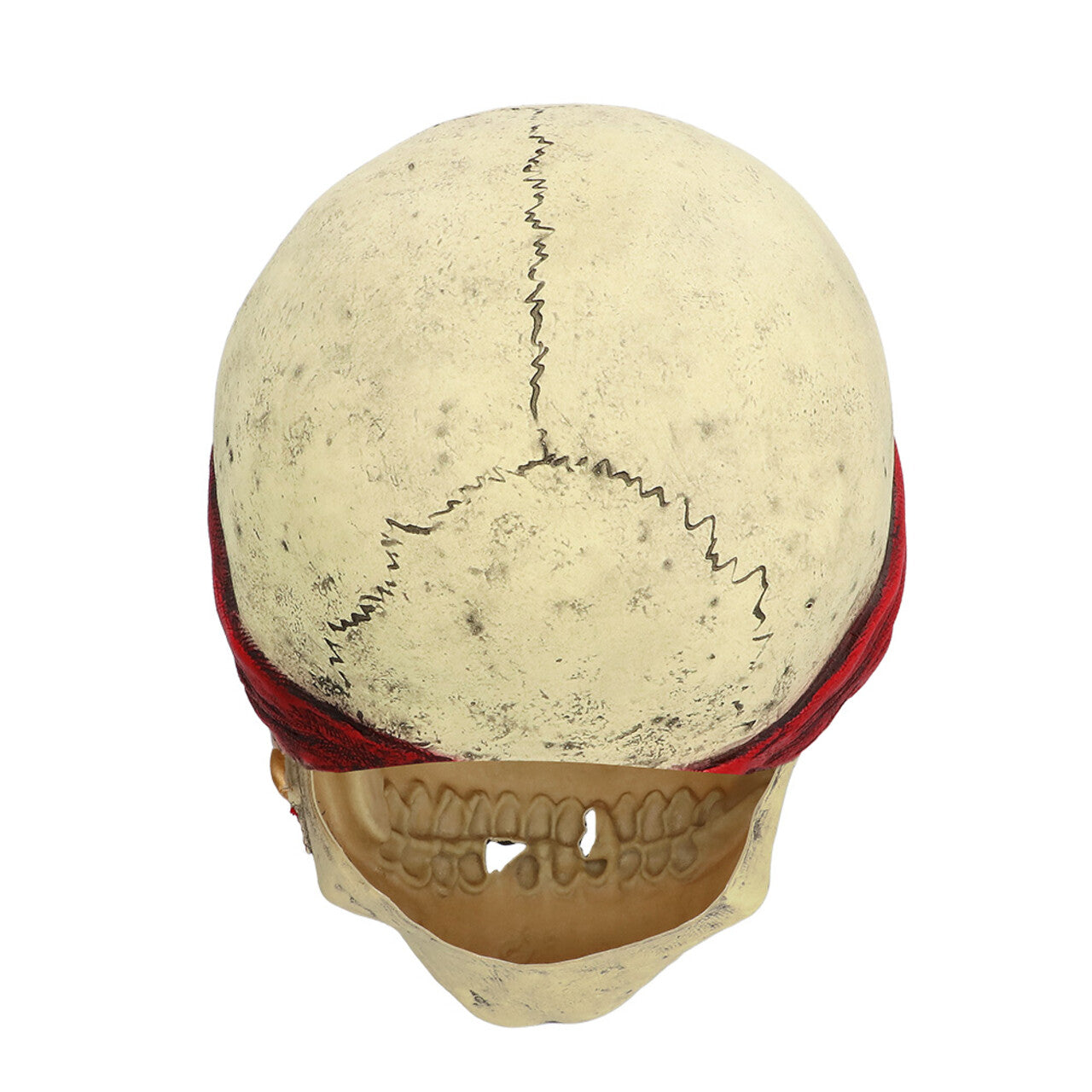 Op deze afbeelding zie je een Accessoires, van het merk Boland. Masker Piraat Stormbot
