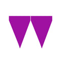 Purple Party Vlaggenlijn 9 Wimpels 3 Meter