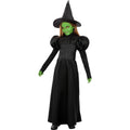 Wicked Witch Heksenpak The Wizard Of Oz Meisje Kostuum