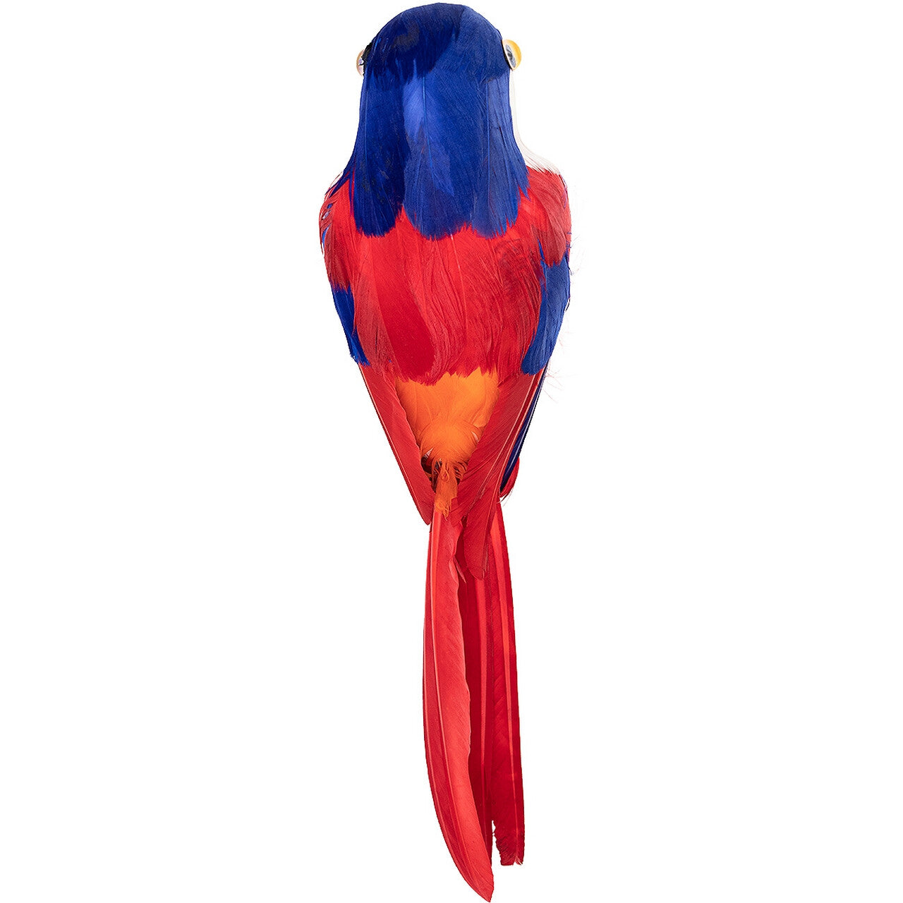 Op deze afbeelding zie je een Decoratie, van het merk Funidelia. Coco De Piraten Papageaai 40 Centimeter