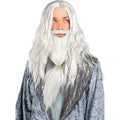 Tovenaar Dumbledore Pruik Met Baard