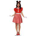 Mooie Minnie De Muis Vrouw Kostuum