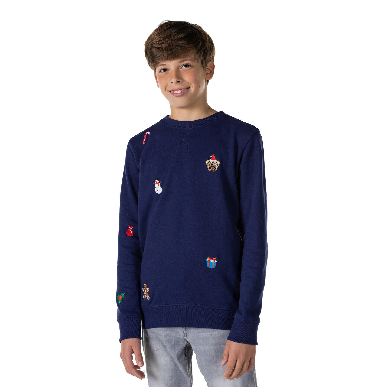 Op deze afbeelding zie je een Kostuums, van het merk Opposuits. Teen Boys Nette Blauwe Kersttrui Jongen