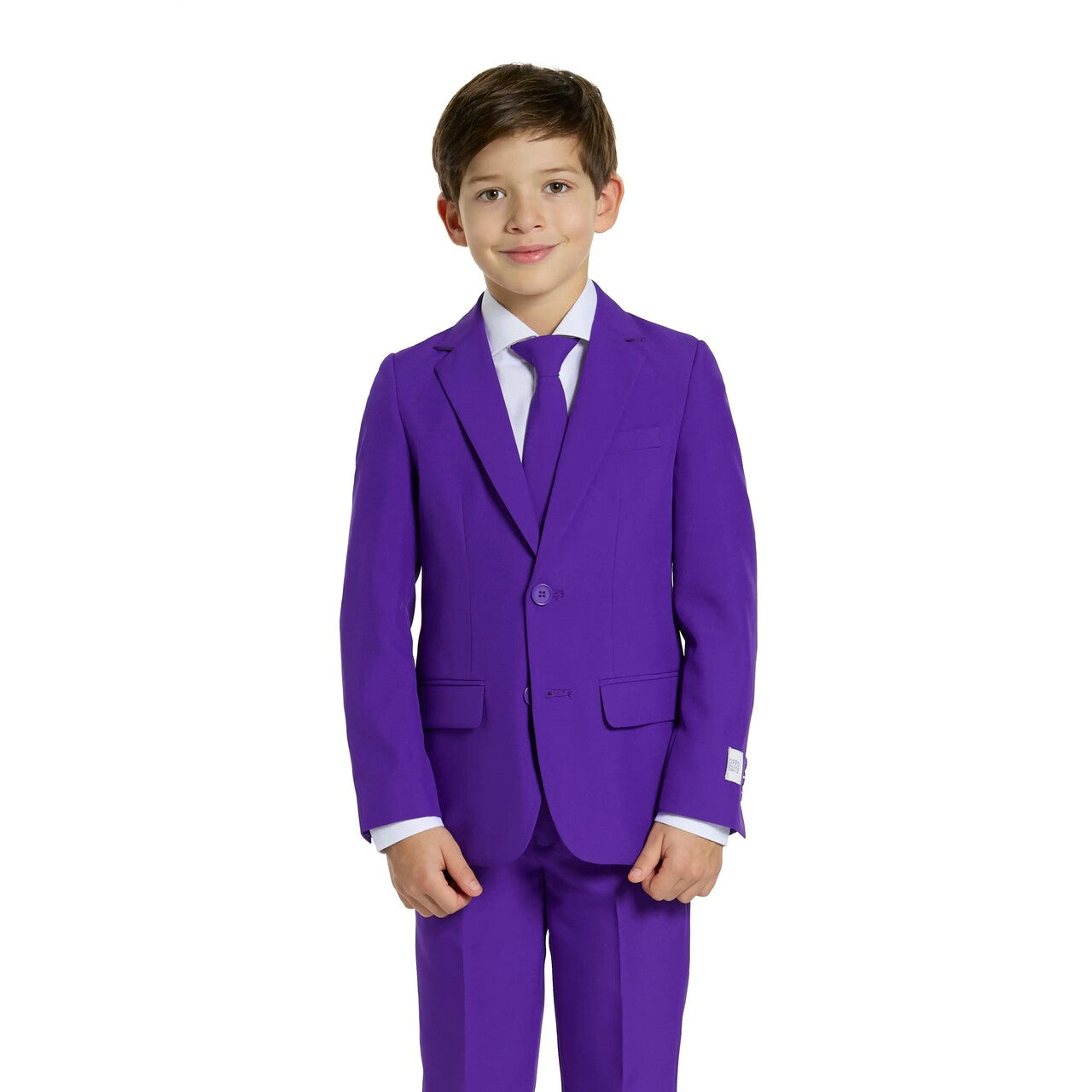 Op deze afbeelding zie je een Kostuums, van het merk Opposuits. Purple Joker Prince Jongen Kostuum