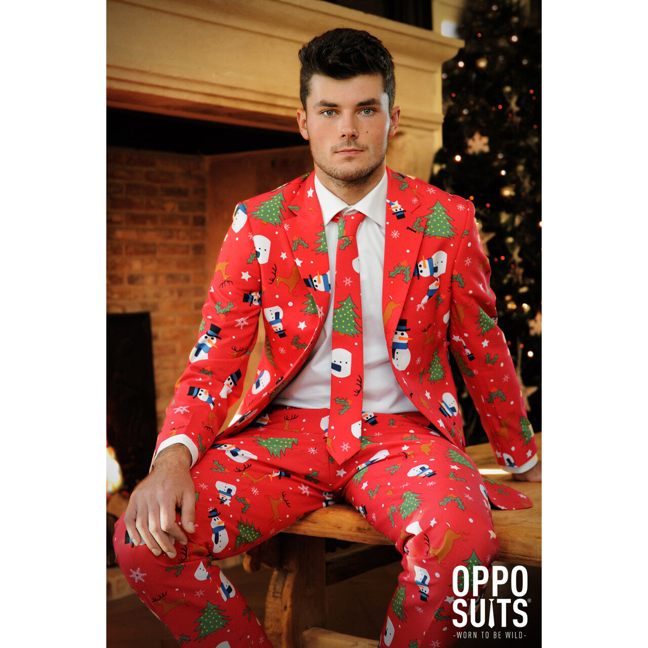 Op deze afbeelding zie je een Kostuums, van het merk Opposuits. Christmaster Opposuit Kostuum Man