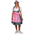 Heidi Bierdrager Dirndl Vrouw Kostuum