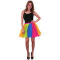 Tule Rok Uit Dansen Regenboog Vrouw