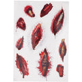 Griezelige Wonden Set, 10 Stuks