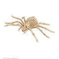 Decoratie Skelet Spin
