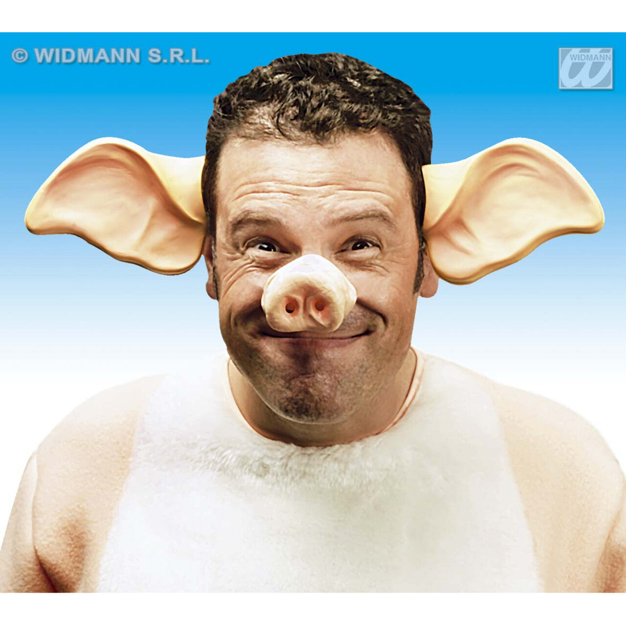 Op deze afbeelding zie je een Accessoires, van het merk Widmann. Neus, Varken