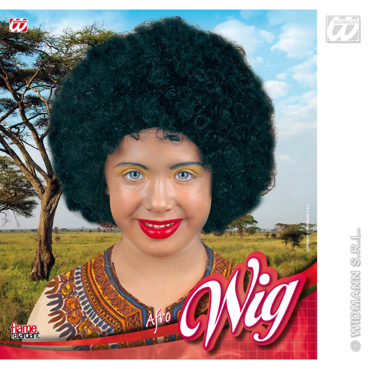 Op deze afbeelding zie je een Accessoires, van het merk Widmann. Pruik, Afro Unisex Kind