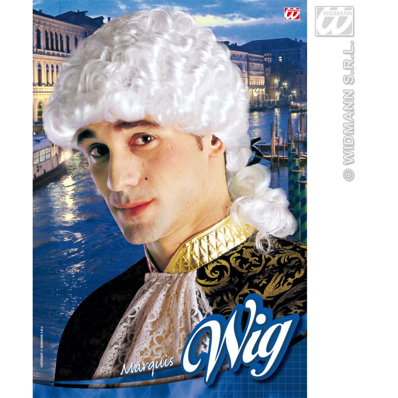 Op deze afbeelding zie je een Accessoires, van het merk Widmann. Pruik, Markies