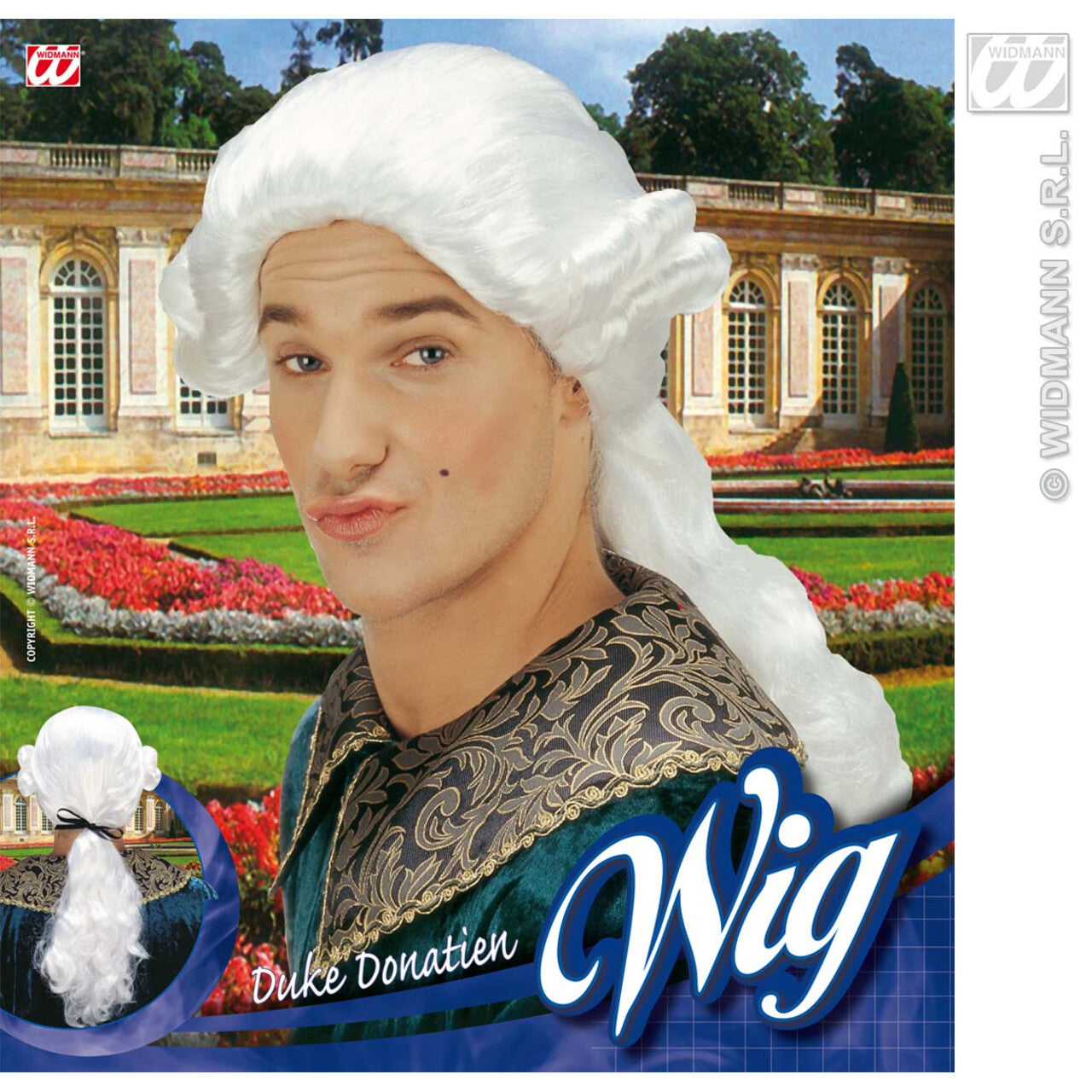 Op deze afbeelding zie je een Accessoires, van het merk Widmann. Pruik, Graaf Nelson Wit