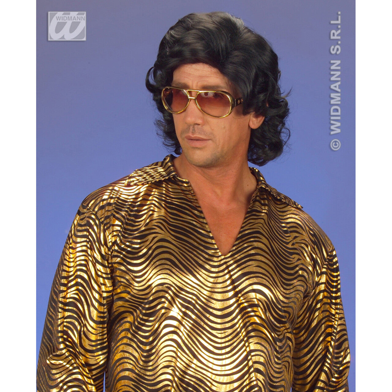Op deze afbeelding zie je een Accessoires, van het merk Widmann. Pruik, Frankie Zwart