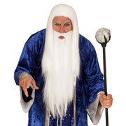 Op deze afbeelding zie je een Accessoires, van het merk Widmann. Gandalf Pruik, Tovenaar Met Baard