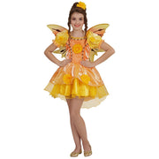 Op deze afbeelding zie je een Kostuums, van het merk Widmann. Mini Zomer Fee Meisje Kostuum