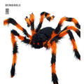 Harige Spin Oranje