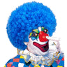 Afro Clownpruik Krullen, Licht Blauw