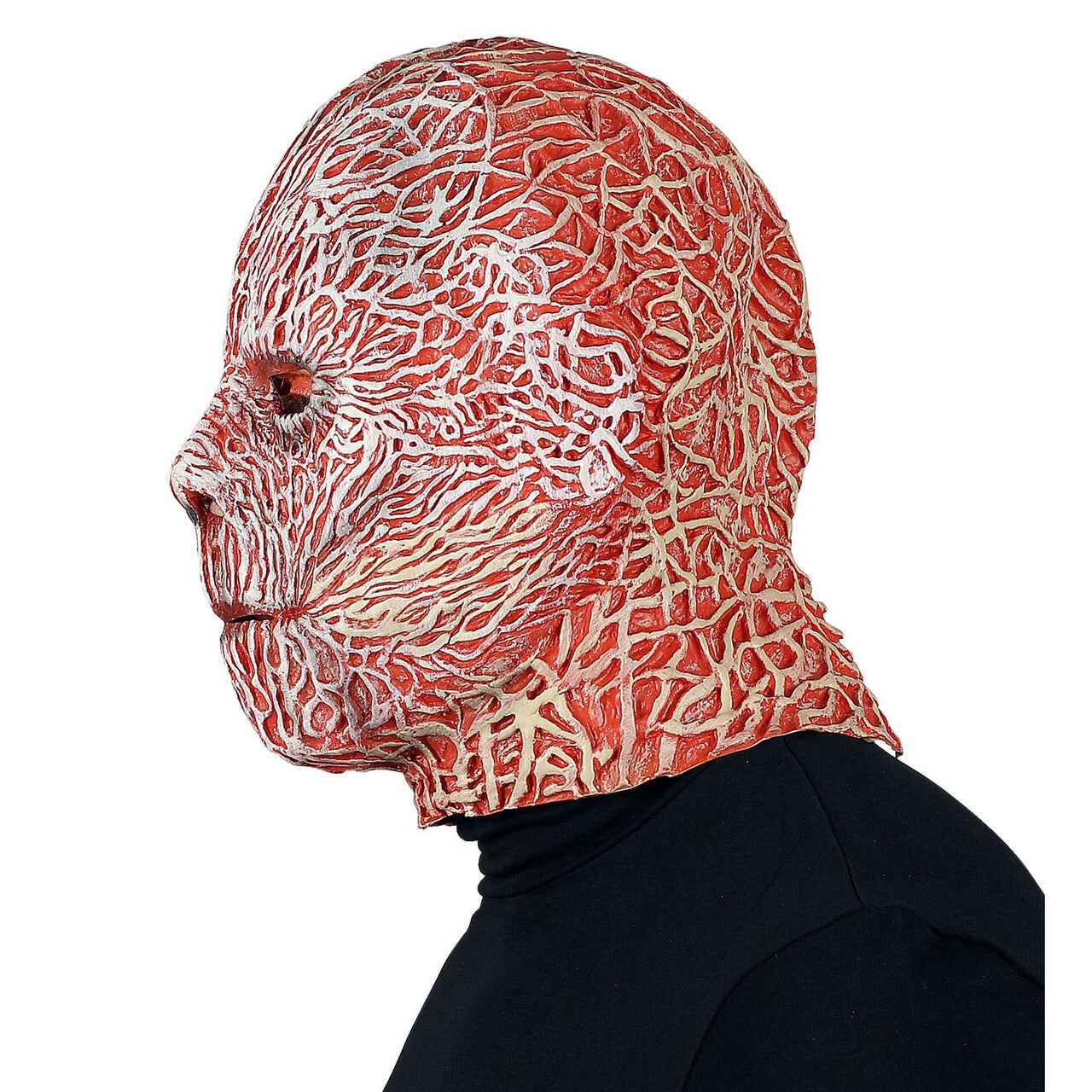 Op deze afbeelding zie je een Accessoires, van het merk Widmann. Freddy Krueger Elm Street Masker