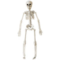 Bungelend Skelet 40 Centimeter
