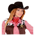 Nieuwe Sheriff Van De Stad Ster