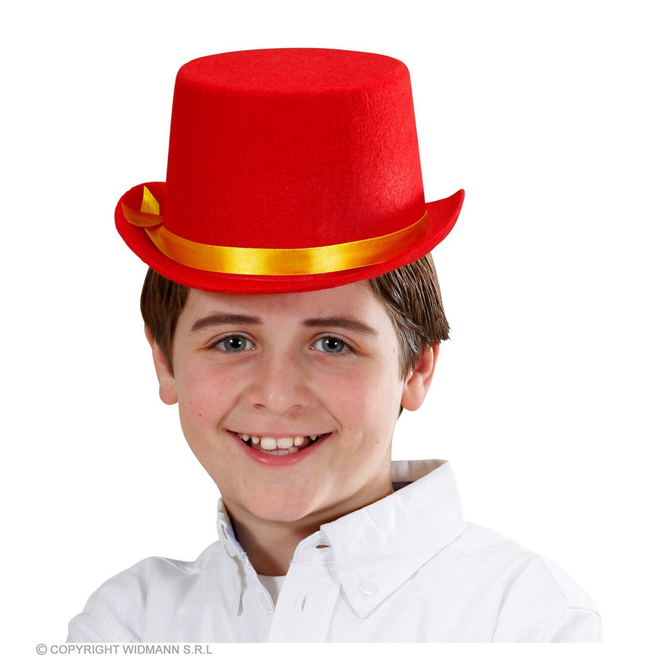 Op deze afbeelding zie je een Accessoires, van het merk Widmann. Grappen Uit De Rode Hoge Hoed