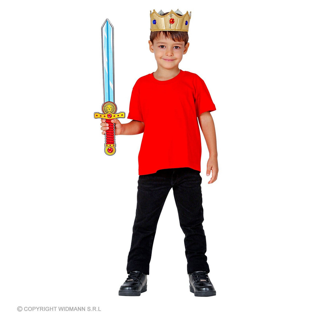 Op deze afbeelding zie je een Accessoires, van het merk Widmann. Zwaard Van De Leeuwenwacht