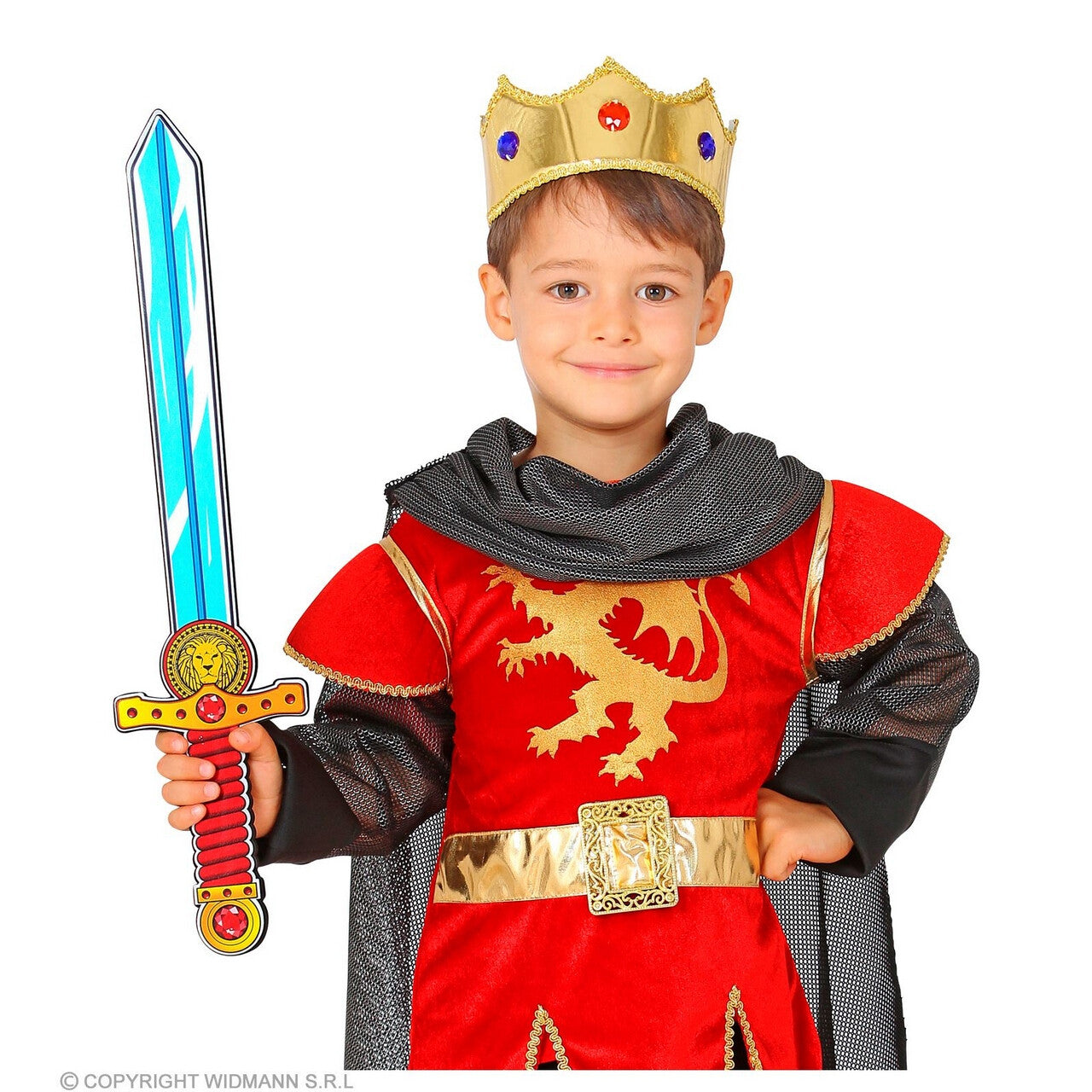 Op deze afbeelding zie je een Accessoires, van het merk Widmann. Zwaard Van De Leeuwenwacht